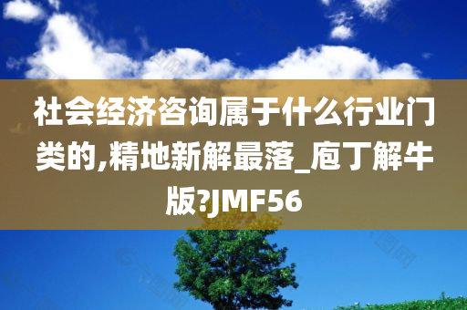 社会经济咨询属于什么行业门类的,精地新解最落_庖丁解牛版?JMF56