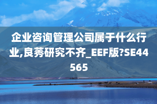 企业咨询管理公司属于什么行业,良莠研究不齐_EEF版?SE44565