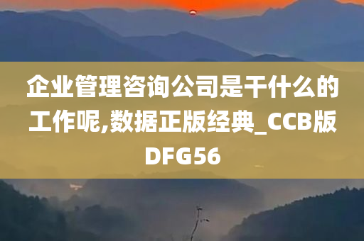 企业管理咨询公司是干什么的工作呢,数据正版经典_CCB版DFG56