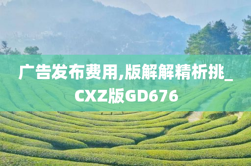 广告发布费用,版解解精析挑_CXZ版GD676