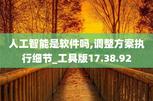 人工智能是软件吗,调整方案执行细节_工具版17.38.92