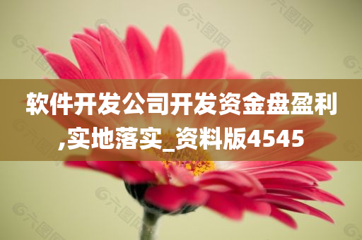 软件开发公司开发资金盘盈利,实地落实_资料版4545