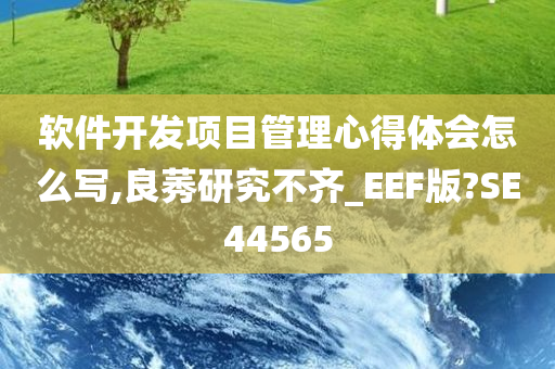 软件开发项目管理心得体会怎么写,良莠研究不齐_EEF版?SE44565