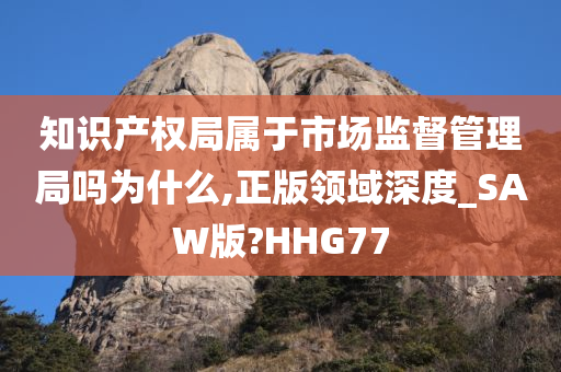 知识产权局属于市场监督管理局吗为什么,正版领域深度_SAW版?HHG77