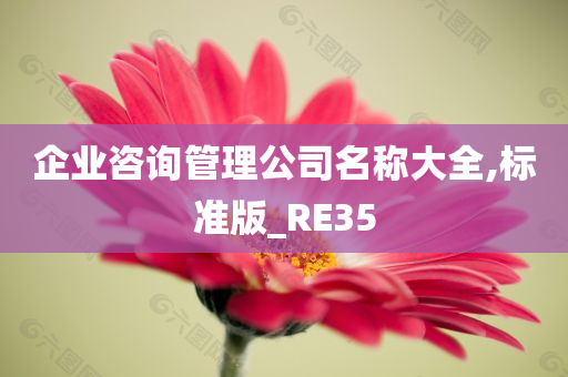 企业咨询管理公司名称大全,标准版_RE35