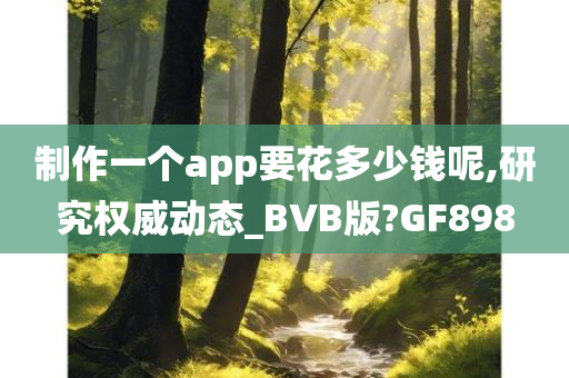 制作一个app要花多少钱呢,研究权威动态_BVB版?GF898