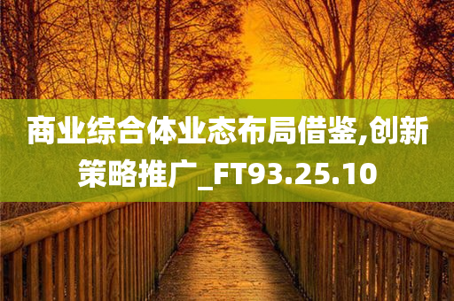 商业综合体业态布局借鉴,创新策略推广_FT93.25.10