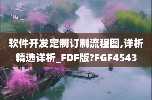 软件开发定制订制流程图,详析精选详析_FDF版?FGF4543