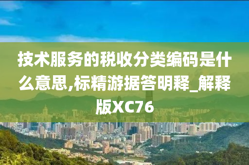 技术服务的税收分类编码是什么意思,标精游据答明释_解释版XC76