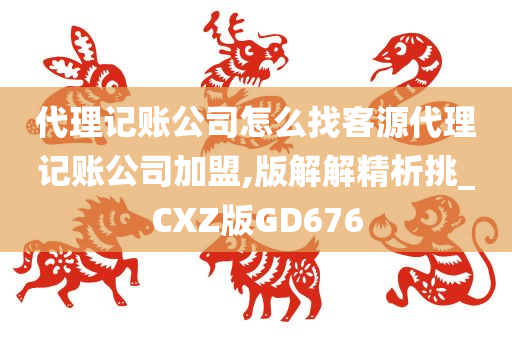 代理记账公司怎么找客源代理记账公司加盟,版解解精析挑_CXZ版GD676