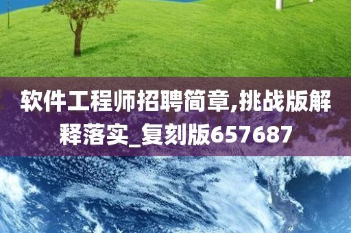 软件工程师招聘简章,挑战版解释落实_复刻版657687