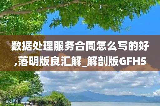 数据处理服务合同怎么写的好,落明版良汇解_解剖版GFH5