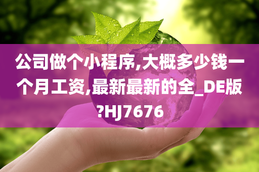 公司做个小程序,大概多少钱一个月工资,最新最新的全_DE版?HJ7676