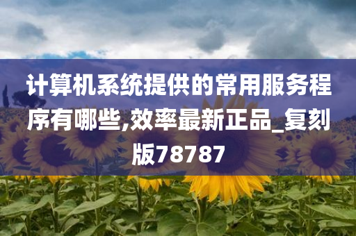 计算机系统提供的常用服务程序有哪些,效率最新正品_复刻版78787