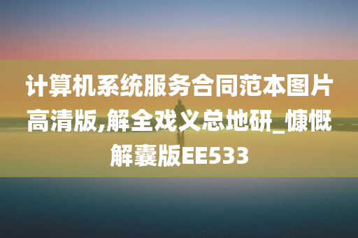 计算机系统服务合同范本图片高清版,解全戏义总地研_慷慨解囊版EE533