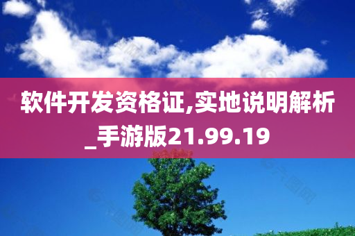 软件开发资格证,实地说明解析_手游版21.99.19