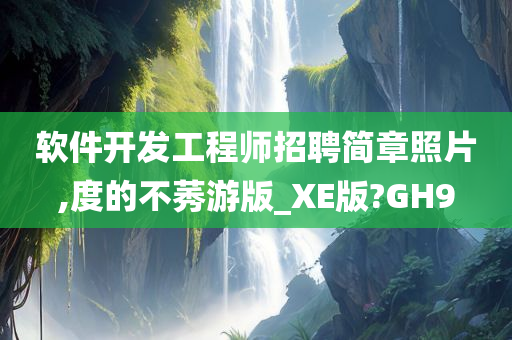 软件开发工程师招聘简章照片,度的不莠游版_XE版?GH9