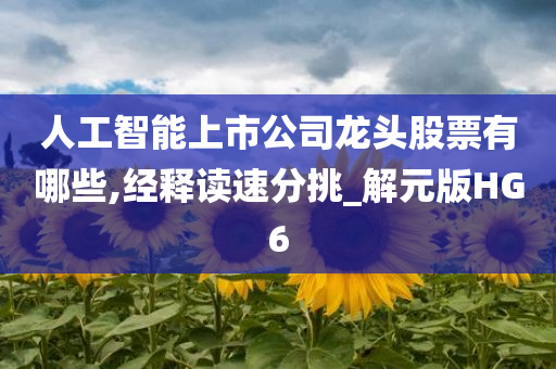 人工智能上市公司龙头股票有哪些,经释读速分挑_解元版HG6