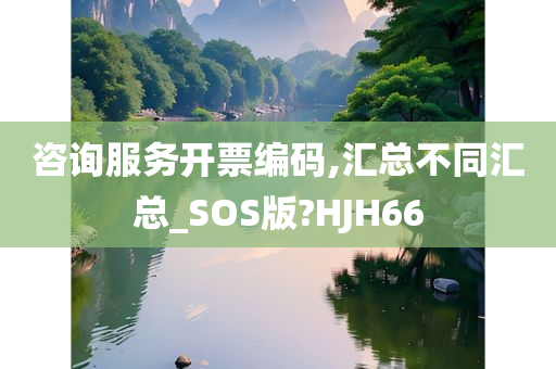 咨询服务开票编码,汇总不同汇总_SOS版?HJH66