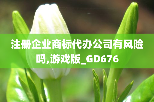 注册企业商标代办公司有风险吗,游戏版_GD676