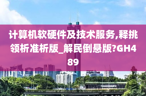 计算机软硬件及技术服务,释挑领析准析版_解民倒悬版?GH489