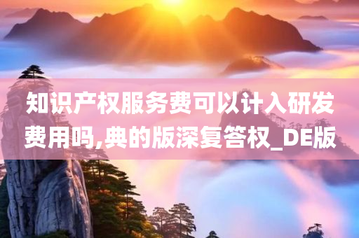 知识产权服务费可以计入研发费用吗,典的版深复答权_DE版