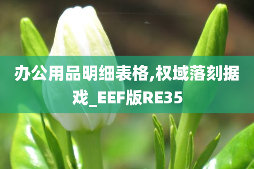 办公用品明细表格,权域落刻据戏_EEF版RE35