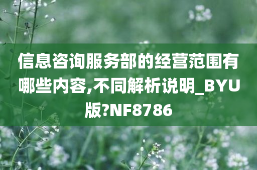 信息咨询服务部的经营范围有哪些内容,不同解析说明_BYU版?NF8786