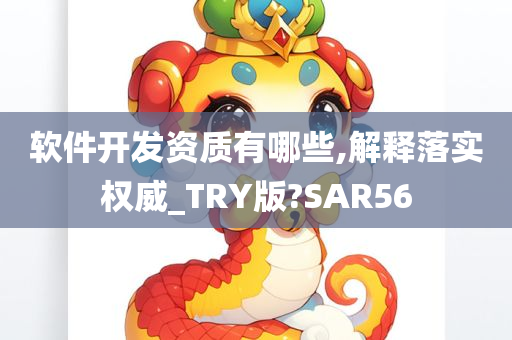 软件开发资质有哪些,解释落实权威_TRY版?SAR56