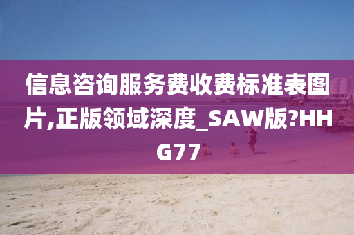 信息咨询服务费收费标准表图片,正版领域深度_SAW版?HHG77