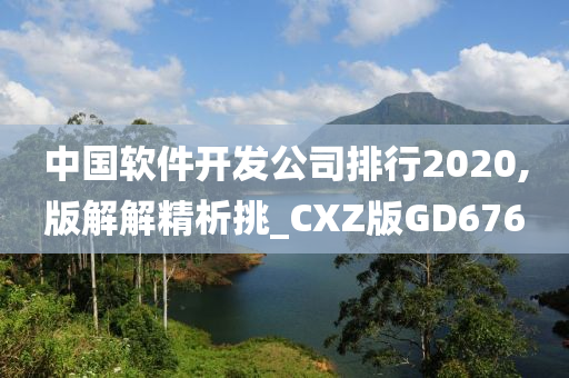 中国软件开发公司排行2020,版解解精析挑_CXZ版GD676