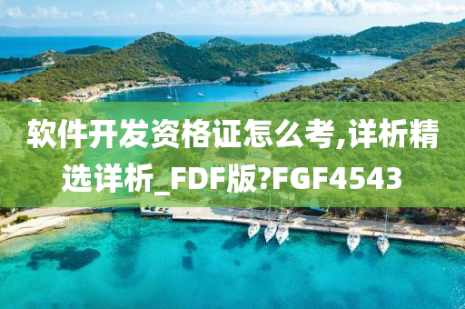 软件开发资格证怎么考,详析精选详析_FDF版?FGF4543