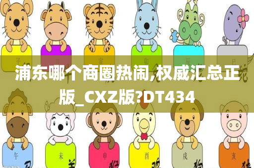 浦东哪个商圈热闹,权威汇总正版_CXZ版?DT434