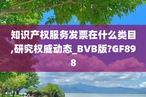 知识产权服务发票在什么类目,研究权威动态_BVB版?GF898