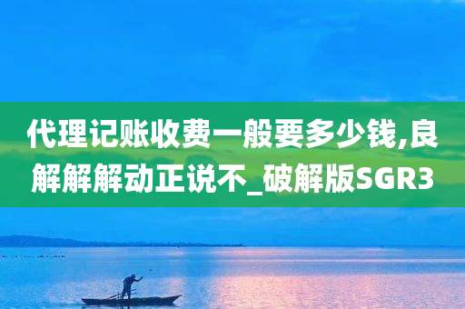 代理记账收费一般要多少钱,良解解解动正说不_破解版SGR3