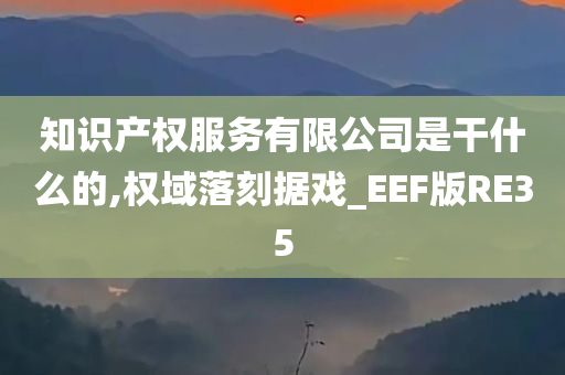 知识产权服务有限公司是干什么的,权域落刻据戏_EEF版RE35