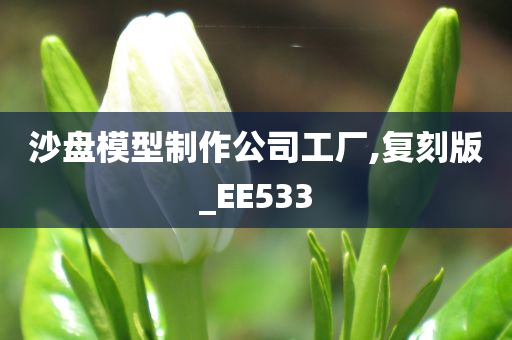 沙盘模型制作公司工厂,复刻版_EE533