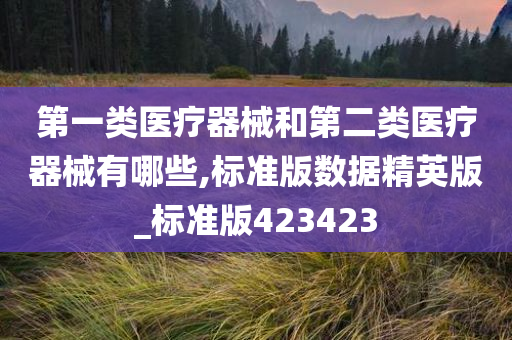 第一类医疗器械和第二类医疗器械有哪些,标准版数据精英版_标准版423423