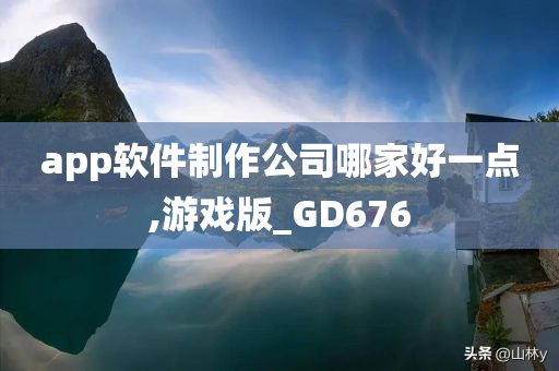 app软件制作公司哪家好一点,游戏版_GD676