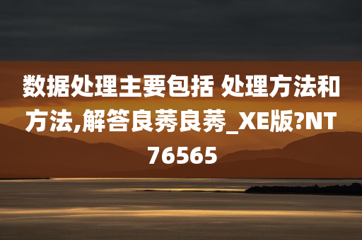 数据处理主要包括 处理方法和方法,解答良莠良莠_XE版?NT76565