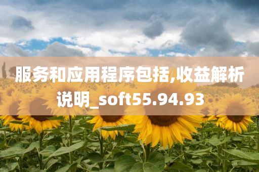 服务和应用程序包括,收益解析说明_soft55.94.93