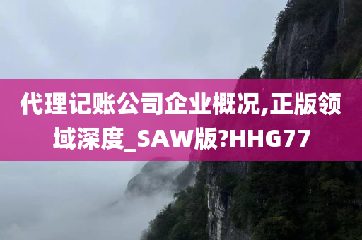 代理记账公司企业概况,正版领域深度_SAW版?HHG77