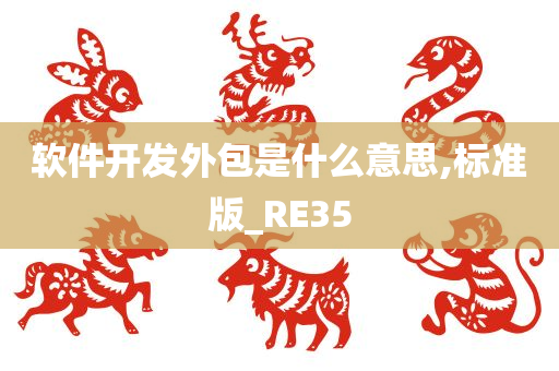 软件开发外包是什么意思,标准版_RE35