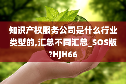 知识产权服务公司是什么行业类型的,汇总不同汇总_SOS版?HJH66