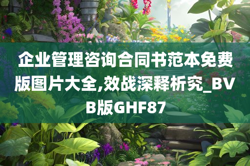 企业管理咨询合同书范本免费版图片大全,效战深释析究_BVB版GHF87