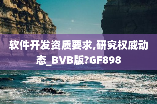 软件开发资质要求,研究权威动态_BVB版?GF898