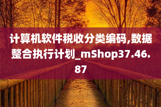 计算机软件税收分类编码,数据整合执行计划_mShop37.46.87