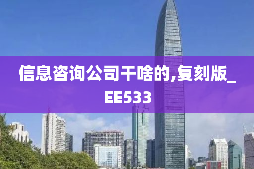 信息咨询公司干啥的,复刻版_EE533