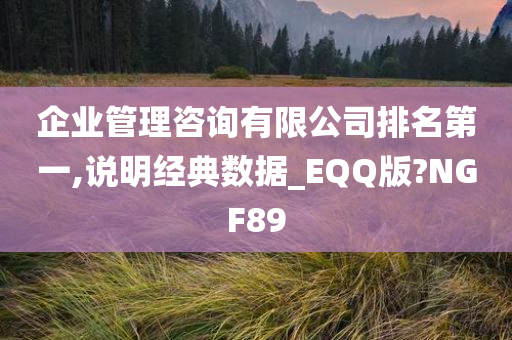 企业管理咨询有限公司排名第一,说明经典数据_EQQ版?NGF89