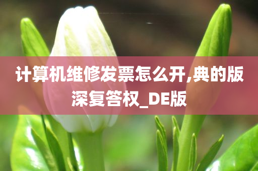 计算机维修发票怎么开,典的版深复答权_DE版